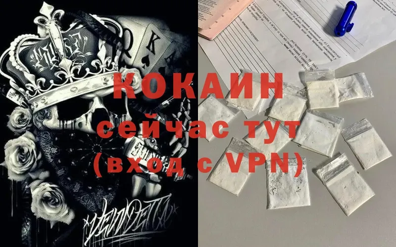 как найти наркотики  маркетплейс наркотические препараты  COCAIN VHQ  Красный Холм 