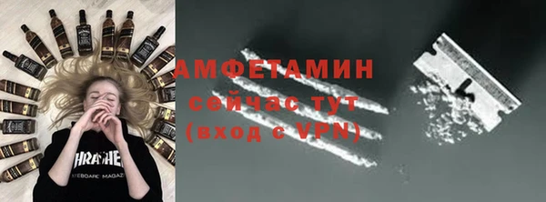 ешки Новодвинск