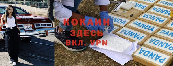 ешки Новодвинск
