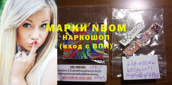ешки Новодвинск