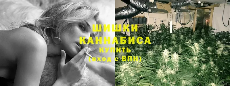 МАРИХУАНА сатива  Красный Холм 